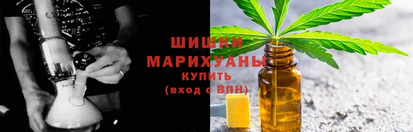 индика Заводоуковск