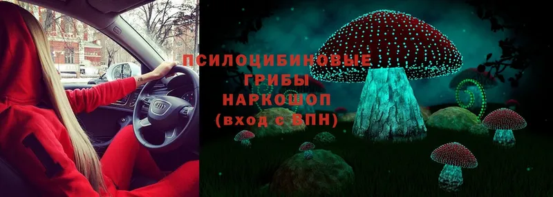 Галлюциногенные грибы Magic Shrooms  Переславль-Залесский 